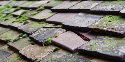 Cefncaeau roof repair costs